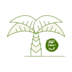 Islamic history and biography